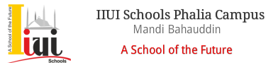 IIUI Schools Phalia Campus - Mandi Bahauddin